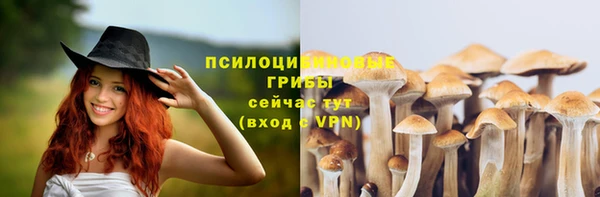 тгк Волосово