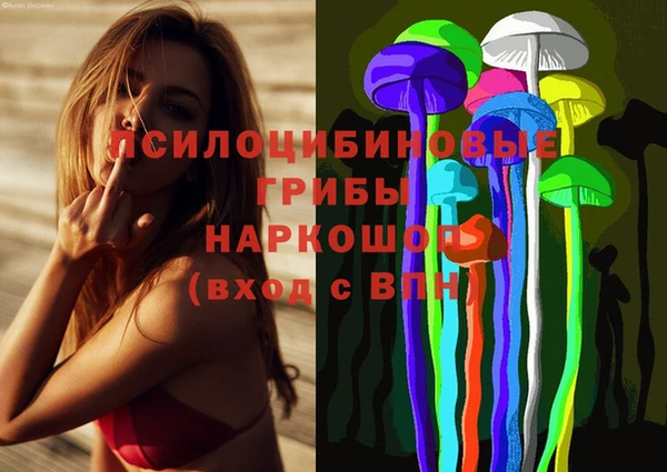 стафф Володарск