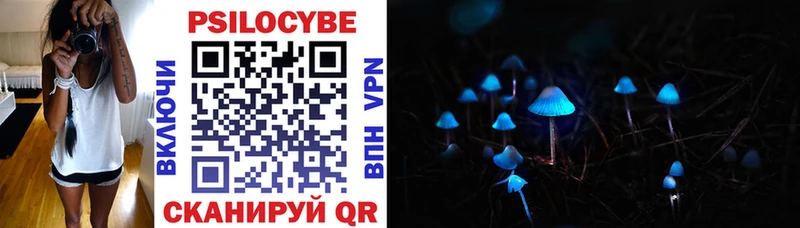 Псилоцибиновые грибы Cubensis  Горбатов 